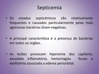 Septicemia
• Os estados septicêmicos são relativamente
  frequentes e causados particularmente pelas mais
  agressivas bactérias Gram-negativas.

• A principal característica é a presença de bactérias
  em todos os órgãos.

• As lesões provocam hiperemia dos capilares,
  exsudato inflamatório, hemorragias        focais e
  exoftalmia associada a edema periorbital.
 