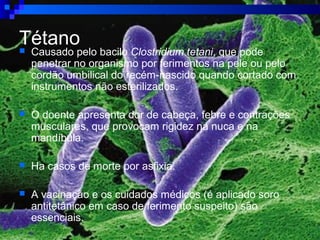 Tétano Causado pelo bacilo Clostridium tetani, que pode
penetrar no organismo por ferimentos na pele ou pelo
cordão umbilical do recém-nascido quando cortado com
instrumentos não esterilizados.
 O doente apresenta dor de cabeça, febre e contrações
musculares, que provocam rigidez na nuca e na
mandíbula.
 Ha casos de morte por asfixia.
 A vacinação e os cuidados médicos (é aplicado soro
antitetânico em caso de ferimento suspeito) são
essenciais.
 