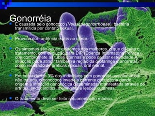 Gonorréia É causada pelo gonococo (Neisseriagonorrhoeae), bactéria
transmitida por contato sexual.
 Provoca dor, ardência e pus ao urinar.
 Os sintomas são pouco evidentes nas mulheres, o que dificulta o
tratamento, com evolução para DIP (Doença Inflamatória Pélvica),
que compromete as tubas uterinas e pode causar esterilidade.A
infecção pode atingir também a região da orofaringe e anorretal
como resultado de práticas sexuais oral e anal.
 Em cerca de 1 a 3% dos indivíduos com gonorréia assintomática
não tratada, o gonococo invade a corrente circulatória dando
origem à infecção gonocócica disseminada, manifestada através de
artrites, endocardites, meningites e lesões cutâneas.
 O tratamento deve ser feito sob orientação médica.
 
