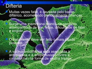Difteria
 Muitas vezes fatal, é causada pelo bacilo
diftérico, acometendo principalmente crianças.
 Surge uma membrana branca na garganta,
acompanhada de dor, febre, dificuldade de falar
e engolir.
 O tratamento deve ser feito o mais rápido
possível.
 A vacina antidiftérica esta associada à
antitetânica e à antipertussis (contra a
coqueluche) na forma de vacina tríplice.
 