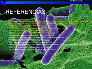 REFERÊNCIAS
 http://www.mundoeducacao.com.br/upload/conteudo_legenda/19e097d16d11c427659e7355ee091df7.jpg
 http://1.bp.blogspot.com/_NupbWI2XxeA/Red2IDUfAWI/AAAAAAAAAE8/GNetBMk-lXo
/s400/0810.%2520Raiz%2520ramificada.jpg
 http://thales.cica.es/rd/Recursos/rd99/ed99-0574-02/partes_de_la_raiz.jpg
 http://www.sobiologia.com.br/figuras/Reinos4/raiz.jpg
 http://www.brasilescola.com/upload/e/Raiz%20suporte.jpg
 http://www.brasilescola.com/upload/e/raiz%20tabular.jpg
 http://farm3.static.flickr.com/2270/2396624655_2681d8168e.jpg?v=0
 http://static.hsw.com.br/gif/rainforest-epiphyte2.jpg
 http://www.brasilescola.com/upload/e/beterraba(1).jpg
 http://www.editorasaraiva.com.br/eddid/CIENCIAS/explorando/6_forma_funcao.html
 http://www.nucleodeaprendizagem.com.br/tronco.jpg
 http://portalsaofrancisco.com.br/alfa/folha/imagens/folha-36.jpg
 