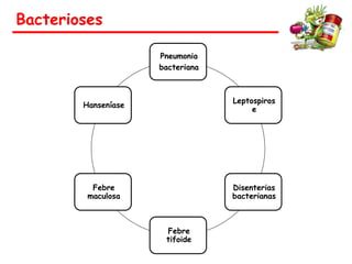 Bacterioses
Pneumonia
bacteriana
Leptospiros
e
Disenterias
bacterianas
Febre
tifoide
Febre
maculosa
Hanseníase
 