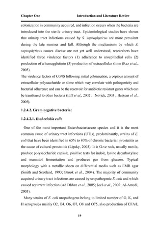 Chapter One Introduction and Literature Review
19
colonization is community acquired, and infection occurs when the bacteria are
introduced into the sterile urinary tract. Epidemiological studies have shown
that urinary tract infections caused by S. saprophyticus are more prevalent
during the late summer and fall. Although the mechanisms by which S.
saprophyticus causes disease are not yet well understood, researchers have
identified three virulence factors (1) adherence to uroepithelial cells (2)
production of a hemagglutinin (3) production of extracellular slime (Raz et al.,
2005).
The virulence factors of CoNS following initial colonization, a copious amount of
extracellular polysaccharide or slime which may correlate with pathogenicity and
bacterial adherence and can be the reservoir for antibiotic resistant genes which can
be transferred to other bacteria (Eiff et al., 2002 ; Novick, 2003 ; Heikens el al.,
2005).
1.2.4.2. Gram negative bacteria:
1.2.4.2.1. Escherichia coli:
One of the most important Enterobacteriaceae species and it is the most
common cause of urinary tract infections (UTIs), predominantly, strains of E.
coli that have been identified in 65% to 80% of chronic bacterial prostatitis as
the cause of cultural prostatitis (Lipsky, 2003). It is G-ve rods, usually motile,
produce polysaccharide capsule, positive tests for indole, lysine decarboxylase
and mannitol fermentation and produces gas from glucose. Typical
morphology with a metallic sheen on differential media such as EMB agar
(Smith and Scotland, 1993; Brook et al., 2004). The majority of community
acquired urinary tract infections are caused by uropathogenic E. coli and which
caused recurrent infection (Ad Dhhan et al., 2005; Joel et al., 2002; Al-Amedi,
2003).
Many strains of E. coli uropathogens belong to limited number of O, K, and
H serogroups mainly O2, O4, O6, O7, O8 and O75, also production of CFA/I,
 