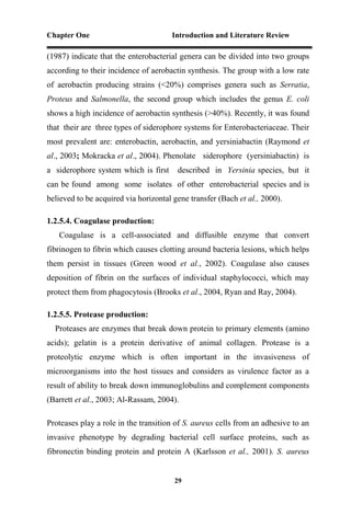Chapter One Introduction and Literature Review
29
(1987) indicate that the enterobacterial genera can be divided into two groups
according to their incidence of aerobactin synthesis. The group with a low rate
of aerobactin producing strains (<20%) comprises genera such as Serratia,
Proteus and Salmonella, the second group which includes the genus E. coli
shows a high incidence of aerobactin synthesis (>40%). Recently, it was found
that their are three types of siderophore systems for Enterobacteriaceae. Their
most prevalent are: enterobactin, aerobactin, and yersiniabactin (Raymond et
al., 2003; Mokracka et al., 2004). Phenolate siderophore (yersiniabactin) is
a siderophore system which is first described in Yersinia species, but it
can be found among some isolates of other enterobacterial species and is
believed to be acquired via horizontal gene transfer (Bach et al., 2000).
1.2.5.4. Coagulase production:
Coagulase is a cell-associated and diffusible enzyme that convert
fibrinogen to fibrin which causes clotting around bacteria lesions, which helps
them persist in tissues (Green wood et al., 2002). Coagulase also causes
deposition of fibrin on the surfaces of individual staphylococci, which may
protect them from phagocytosis (Brooks et al., 2004, Ryan and Ray, 2004).
1.2.5.5. Protease production:
Proteases are enzymes that break down protein to primary elements (amino
acids); gelatin is a protein derivative of animal collagen. Protease is a
proteolytic enzyme which is often important in the invasiveness of
microorganisms into the host tissues and considers as virulence factor as a
result of ability to break down immunoglobulins and complement components
(Barrett et al., 2003; Al-Rassam, 2004).
Proteases play a role in the transition of S. aureus cells from an adhesive to an
invasive phenotype by degrading bacterial cell surface proteins, such as
fibronectin binding protein and protein A (Karlsson et al., 2001). S. aureus
 