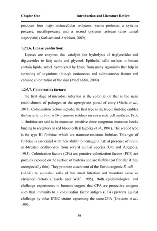 Chapter One Introduction and Literature Review
30
produces four major extracellular proteases: serine protease, a cysteine
protease, metalloprotease and a second cysteine protease (also named
staphopain) (Karlsson and Arvidson, 2002).
1.2.5.6. Lipase production:
Lipases are enzymes that catalysis the hydrolysis of triglycerides and
diglycerides to fatty acids and glycerol. Epithelial cells surface in human
contain lipids, which hydrolyzed by lipase from many organisms that help in
spreading of organisms through coetaneous and subcutaneous tissues and
enhance colonization of the skin (MacFaddin, 2000).
1.2.5.7. Colonization factors:
The first stage of microbial infection is the colonization that is the mean
establishment of pathogen at the appropriate portal of entry (Maria et al.,
2007). Colonization factors include: the first type is the type-I fimbriae enables
the bacteria to bind to D- mannose residues on eukaryotic cell surfaces. Type
1- fimbriae are said to be mannose -sensitive since exogenous mannose blocks
binding to receptors on red blood cells (Hagberg et al., 1981). The second type
is the type III fimbriae, which are mannose-resistant fimbriae. This type of
fimbriae is associated with their ability to hemagglutinate at presence of tannic
acid-treated erythrocytes from several animal species (Old and Adegbola,
1985). Colonization factors (CFs) and putative colonization factors (PCF) are
proteins exposed on the surface of bacteria and are fimbrial (or fibrillar if they
are especially thin). They promote attachment of the Entrotoxogenic E. coli
(ETEC) to epithelial cells of the small intestine and therefore serve as
virulence factors (Cassels and Wolf, 1995). Both epidemiological and
challenge experiments in humans suggest that CFA are protective antigens
such that immunity to a colonization factor antigen (CFA) protects against
challenge by other ETEC strains expressing the same CFA (Cravioto et al.,
1990).
 