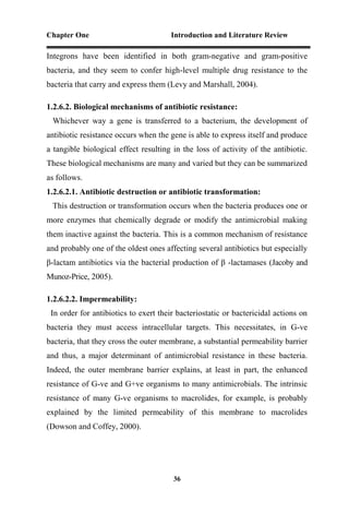 Chapter One Introduction and Literature Review
36
Integrons have been identified in both gram-negative and gram-positive
bacteria, and they seem to confer high-level multiple drug resistance to the
bacteria that carry and express them (Levy and Marshall, 2004).
1.2.6.2. Biological mechanisms of antibiotic resistance:
Whichever way a gene is transferred to a bacterium, the development of
antibiotic resistance occurs when the gene is able to express itself and produce
a tangible biological effect resulting in the loss of activity of the antibiotic.
These biological mechanisms are many and varied but they can be summarized
as follows.
1.2.6.2.1. Antibiotic destruction or antibiotic transformation:
This destruction or transformation occurs when the bacteria produces one or
more enzymes that chemically degrade or modify the antimicrobial making
them inactive against the bacteria. This is a common mechanism of resistance
and probably one of the oldest ones affecting several antibiotics but especially
β-lactam antibiotics via the bacterial production of β -lactamases (Jacoby and
Munoz-Price, 2005).
1.2.6.2.2. Impermeability:
In order for antibiotics to exert their bacteriostatic or bactericidal actions on
bacteria they must access intracellular targets. This necessitates, in G-ve
bacteria, that they cross the outer membrane, a substantial permeability barrier
and thus, a major determinant of antimicrobial resistance in these bacteria.
Indeed, the outer membrane barrier explains, at least in part, the enhanced
resistance of G-ve and G+ve organisms to many antimicrobials. The intrinsic
resistance of many G-ve organisms to macrolides, for example, is probably
explained by the limited permeability of this membrane to macrolides
(Dowson and Coffey, 2000).
 