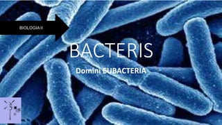 BACTERIS
Domini EUBACTERIA
 