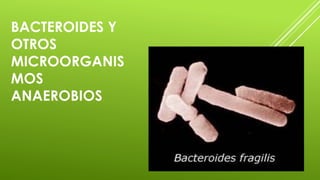 BACTEROIDES Y 
OTROS 
MICROORGANIS 
MOS 
ANAEROBIOS 
 