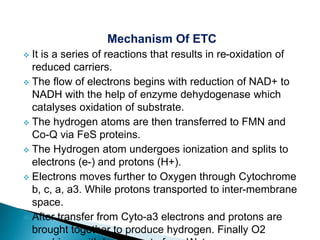 Mechanism Of ETC
 It is a series of reactions that results in re-oxidation of
reduced carriers.
 The flow of electrons begins with reduction of NAD+ to
NADH with the help of enzyme dehydogenase which
catalyses oxidation of substrate.
 The hydrogen atoms are then transferred to FMN and
Co-Q via FeS proteins.
 The Hydrogen atom undergoes ionization and splits to
electrons (e-) and protons (H+).
 Electrons moves further to Oxygen through Cytochrome
b, c, a, a3. While protons transported to inter-membrane
space.
 After transfer from Cyto-a3 electrons and protons are
brought together to produce hydrogen. Finally O2
 