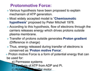Protonmotive Force:
 Various hypothesis have been proposed to explain
mechanism of ATP generation.
 Most widely accepted model is “Chemiosmotic
hypothesis” proposed by Peter Mitchell 1978.
 According to this hypothesis, flow of electrons through the
carriers releases energy which drives protons outside
plasma membrane.
 Transfer of protons outside generates Proton gradient
(Difference in charge)
 Thus, energy released during transfer of electrons is
conserved as ‘Proton motive Force’.
 Proton motive Force is a form of potential energy that can
be used for:
a) Permease systems
b) Syntheis of ATP from ADP and Pi.
c) Rotation of flagellar motor
 