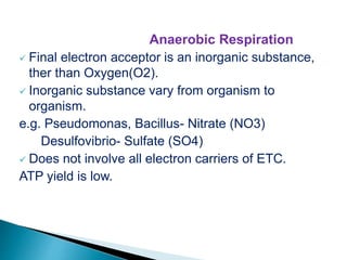 Anaerobic Respiration
 Final electron acceptor is an inorganic substance,
ther than Oxygen(O2).
 Inorganic substance vary from organism to
organism.
e.g. Pseudomonas, Bacillus- Nitrate (NO3)
Desulfovibrio- Sulfate (SO4)
 Does not involve all electron carriers of ETC.
ATP yield is low.
 