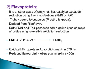 2) Flavoprotein:
 It is another class of enzymes that catalyse oxidation
reduction using flavin nucleotides (FMN or FAD).
 Tightly bound to enzymes (Prosthetic group).
 Derived from Riboflavin.
 Both FMN and Fad posseses same active sites capable
of undergoing reversible oxidation reduction.
 FAD + 2H+ + 2e- FADH2
 Oxidized flavoprotein- Absorption maxima 570nm
 Reduced flavoprotein- Absorption maxima 450nm
 