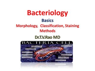 Bacteriology
Basics
Morphology, Classification, Staining
Methods
Dr.T.V.Rao MD
 