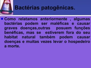 Bactérias patogênicas. Como relatamos anteriormente , algumas bactérias podem ser maléficas e causar graves doenças,outras  posuem funções benéficas, mas se  estiverem fora do seu habitat natural também podem causar doenças e muitas vezes levar o hospedeiro a morte.  