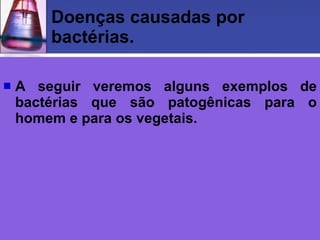 Doenças causadas por bactérias. A seguir veremos alguns exemplos de bactérias que são patogênicas para o homem e para os vegetais. 