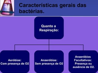 Características gerais das bactérias. Quanto a  Respiração: Aeróbias: Com presença de O2 Anaeróbias: Sem presença de O2 Anaeróbios  Facultativos:  Presença ou ausência de O2. 