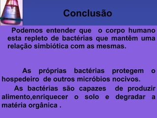 Conclusão Podemos entender que  o corpo humano esta repleto de bactérias que mantêm uma relação simbiótica com as mesmas. As próprias bactérias protegem o hospedeiro  de outros micróbios nocivos.   As bactérias são capazes  de produzir alimento,enriquecer o solo e degradar a matéria orgânica . 