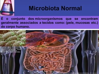 Microbiota Normal É o conjunto dos microorganismos que se encontram geralmente associados a tecidos como: (pele, mucosas etc.) do corpo humano. 