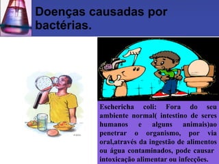 Doenças causadas por
bactérias.




         Eschericha coli: Fora do seu
         ambiente normal( intestino de seres
         humanos e alguns animais)ao
         penetrar o organismo, por via
         oral,através da ingestão de alimentos
         ou água contaminados, pode causar
         intoxicação alimentar ou infecções.
 