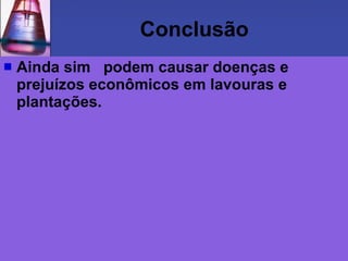 Conclusão
   Ainda sim podem causar doenças e
    prejuízos econômicos em lavouras e
    plantações.
 