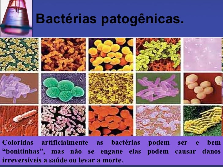 BactéRias..
