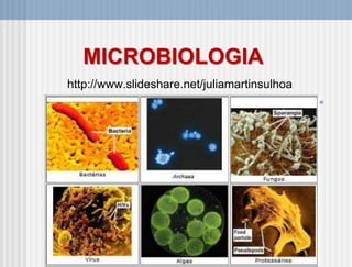 MICROBIOLOGIA
http://www.slideshare.net/juliamartinsulhoa
 