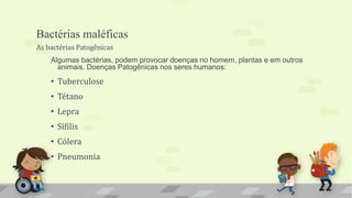 Bactérias maléficas
Algumas bactérias, podem provocar doenças no homem, plantas e em outros
animais. Doenças Patogênicas nos seres humanos:
• Tuberculose
• Tétano
• Lepra
• Sífilis
• Cólera
• Pneumonia
As bactérias Patogênicas
 
