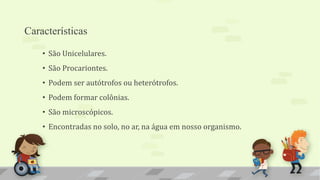 Características
• São Unicelulares.
• São Procariontes.
• Podem ser autótrofos ou heterótrofos.
• Podem formar colônias.
• São microscópicos.
• Encontradas no solo, no ar, na água em nosso organismo.
 