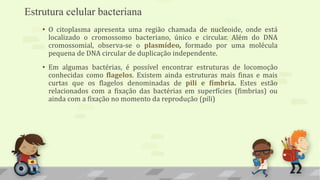 Estrutura celular bacteriana
• O citoplasma apresenta uma região chamada de nucleoide, onde está
localizado o cromossomo bacteriano, único e circular. Além do DNA
cromossomial, observa-se o plasmídeo, formado por uma molécula
pequena de DNA circular de duplicação independente.
• Em algumas bactérias, é possível encontrar estruturas de locomoção
conhecidas como flagelos. Existem ainda estruturas mais finas e mais
curtas que os flagelos denominadas de pili e fímbria. Estes estão
relacionados com a fixação das bactérias em superfícies (fimbrias) ou
ainda com a fixação no momento da reprodução (pili)
 