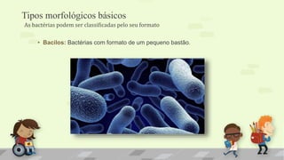 Tipos morfológicos básicos
• Bacilos: Bactérias com formato de um pequeno bastão.
As bactérias podem ser classificadas pelo seu formato
 