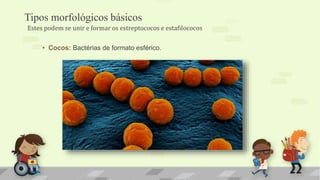 Tipos morfológicos básicos
• Cocos: Bactérias de formato esférico.
Estes podem se unir e formar os estreptococos e estafilococos
 