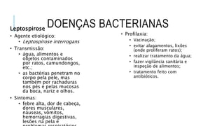 DOENÇAS BACTERIANAS
Leptospirose
• Agente etiológico:
• Leptospirose interrogans
• Transmissão:
• água, alimentos e
objetos contaminados
por ratos, camundongos,
etc.;
• as bactérias penetram no
corpo pela pele, mas
também por rachaduras
nos pés e pelas mucosas
da boca, nariz e olhos.
• Sintomas:
• febre alta, dor de cabeça,
dores musculares,
náuseas, vômitos,
hemorragias digestivas,
lesões na pela e
• Profilaxia:
• Vacinação;
• evitar alagamentos, lixões
(onde proliferam ratos);
• realizar tratamento da água;
• fazer vigilância sanitária e
inspeção de alimentos;
• tratamento feito com
antibióticos.
 