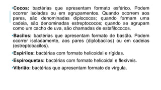 •Cocos: bactérias que apresentam formato esférico. Podem
ocorrer isoladas ou em agrupamentos. Quando ocorrem aos
pares, são denominadas diplococos; quando formam uma
cadeia, são denominadas estreptococos; quando se agrupam
como um cacho de uva, são chamadas de estafilococos.
•Bacilos: bactérias que apresentam formato de bastão. Podem
ocorrer isoladamente, aos pares (diplobacilos) ou em cadeias
(estreptobacilos).
•Espirilos: bactérias com formato helicoidal e rígidas.
•Espiroquetas: bactérias com formato helicoidal e flexíveis.
•Vibrião: bactérias que apresentam formato de vírgula.
 