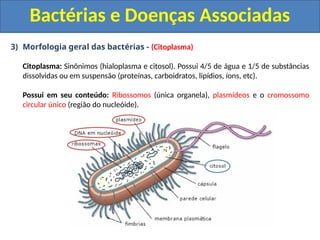 3) Morfologia geral das bactérias - (Citoplasma)
Citoplasma: Sinônimos (hialoplasma e citosol). Possui 4/5 de água e 1/5 de substâncias
dissolvidas ou em suspensão (proteínas, carboidratos, lipídios, íons, etc).
Possui em seu conteúdo: Ribossomos (única organela), plasmídeos e o cromossomo
circular único (região do nucleóide).
Bactérias e Doenças Associadas
 