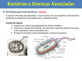 3) Morfologia geral das bactérias - (cápsula)
A cápsula é formada pelo glicocálice, o qual consiste em uma substância polissacarídica
produzida no citoplasma e secretados para a superfície celular.
Funções da cápsula:
1. Impedir que a célula seja fagocitada por células de defesa.
2. Promover a adesão das bactérias em diferentes substratos (dentes humanos,
trato respiratório, mucosa intestinal, etc.)
3. Proteger as bactérias contra desidratação e choques mecânicos.
Bactérias e Doenças Associadas
cápsula
 