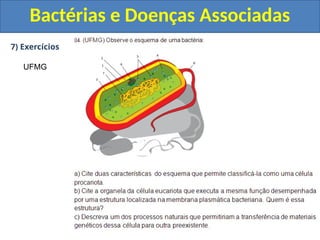 7) Exercícios
Bactérias e Doenças Associadas
UFMG
 