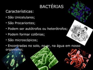 BACTÉRIAS Características: São Unicelulares; São Procariontes; Podem ser autótrofos ou heterótrofos; Podem formar colônias; São microscópicos; Encontradas no solo, no ar, na água em nosso organismo; 