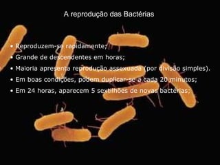 A reprodução das Bactérias   Reproduzem-se rapidamente;  Grande de descendentes em horas; Maioria apresenta reprodução assexuada (por divisão simples).  Em boas condições, podem duplicar-se a cada 20 minutos;  Em 24 horas, aparecem 5 sextilhões de novas bactérias; 