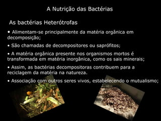 A Nutrição das Bactérias   As bactérias Heterótrofas  Alimentam-se principalmente da matéria orgânica em decomposição; São chamadas de decompositores ou saprófitos ;  A matéria orgânica presente nos organismos mortos é transformada em matéria inorgânica, como os sais minerais; Assim, as bactérias decompositoras contribuem para a reciclagem da matéria na natureza.   Associação com outros seres vivos, estabelecendo o mutualismo; 