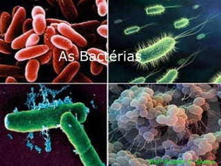 As Bactérias Profº Rodolfo D. SAntos 