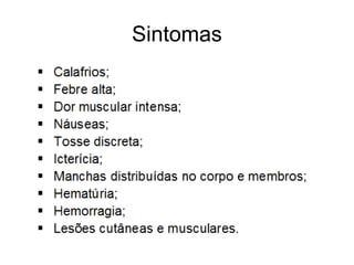 Sintomas
 