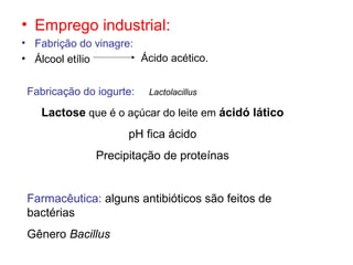 • Emprego industrial:
• Fabrição do vinagre:
• Álcool etílio Ácido acético.
Fabricação do iogurte: Lactolacillus
Lactose que é o açúcar do leite em ácidó lático
pH fica ácido
Precipitação de proteínas
Farmacêutica: alguns antibióticos são feitos de
bactérias
Gênero Bacillus
 