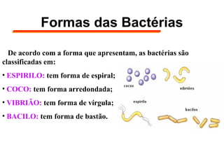 Formas das Bactérias
De acordo com a forma que apresentam, as bactérias são
classificadas em:
• ESPIRILO: tem forma de espiral;
• COCO: tem forma arredondada;
• VIBRIÃO: tem forma de vírgula;
• BACILO: tem forma de bastão.
 
