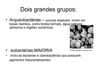 Dois grandes grupos:
• Arqueobactérias – poucas espécies, vivem em
locais restritos, como fontes termais, água salgada,
pântanos e regiões vulcânicas.
• eubactérias:MAIORIA
• inclui as bacterias e cianobactérias que possuem
pigmentos fotossintetizantes.
 