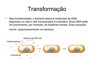 Transformação
• Naa transformação, a bactéria absorve moléculas de DNA
dispersas no meio e são incorporados à cromatina. Esse DNA pode
ser proveniente, por exemplo, de bactérias mortas. Esse processo
ocorre espontaneamente na natureza.
 
