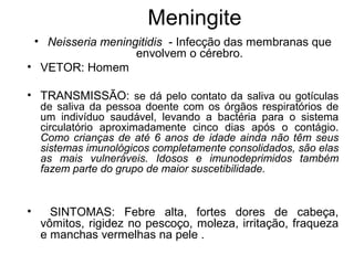 Meningite
• Neisseria meningitidis - Infecção das membranas que
envolvem o cérebro.
• VETOR: Homem
• TRANSMISSÃO: se dá pelo contato da saliva ou gotículas
de saliva da pessoa doente com os órgãos respiratórios de
um indivíduo saudável, levando a bactéria para o sistema
circulatório aproximadamente cinco dias após o contágio.
Como crianças de até 6 anos de idade ainda não têm seus
sistemas imunológicos completamente consolidados, são elas
as mais vulneráveis. Idosos e imunodeprimidos também
fazem parte do grupo de maior suscetibilidade.
• SINTOMAS: Febre alta, fortes dores de cabeça,
vômitos, rigidez no pescoço, moleza, irritação, fraqueza
e manchas vermelhas na pele .
 