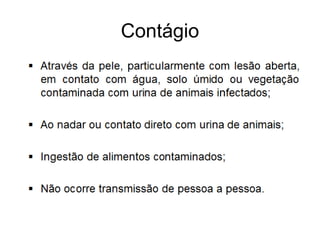 Contágio
 