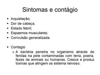 Sintomas e contágio
 