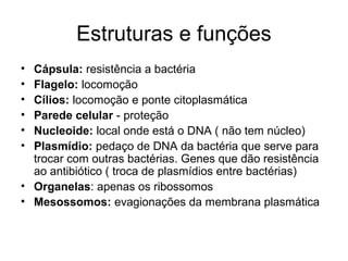 Estruturas e funções
• Cápsula: resistência a bactéria
• Flagelo: locomoção
• Cílios: locomoção e ponte citoplasmática
• Parede celular - proteção
• Nucleoide: local onde está o DNA ( não tem núcleo)
• Plasmídio: pedaço de DNA da bactéria que serve para
trocar com outras bactérias. Genes que dão resistência
ao antibiótico ( troca de plasmídios entre bactérias)
• Organelas: apenas os ribossomos
• Mesossomos: evagionações da membrana plasmática
 