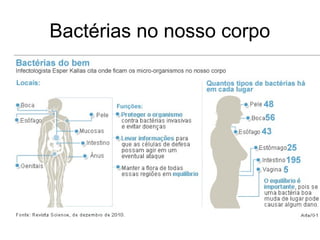Bactérias no nosso corpo
 